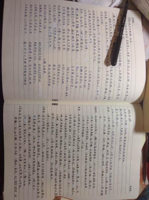 中等入学考试，战斗_150字
