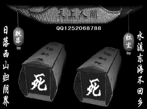 我想克隆“天堂”_450字
