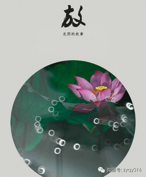 有经验珍惜_50字