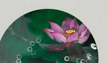 拥有 经历 珍惜_50字