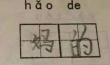 我捉住了一颗星星_600字