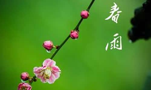 顽皮的春雨_300字