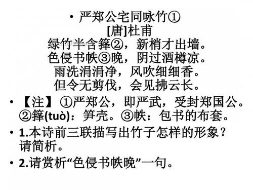 永恒的悲伤_50字