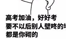 我不是一张牌_800字