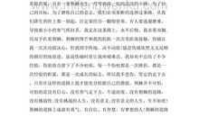 励志演讲稿：我不是一张牌_800字