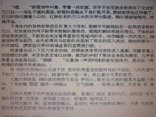 我的小宠物副本_400字