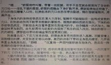 我的小宠物文文_400字