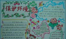 保护环境，保护我们美丽的家园_750字