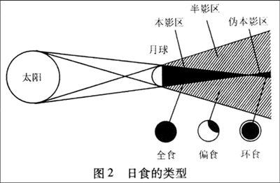 日本食物上的组成：观看整个食物_700字