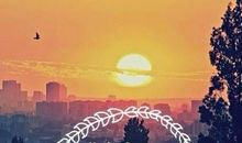 谢谢你们给了我浓浓的爱_500字