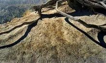 人生需多磨砺_750字