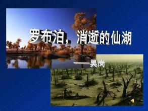 阅读_400字后，“Roboy，童话湖”阅读