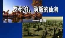 《罗布泊，消逝的仙湖》读后感_400字