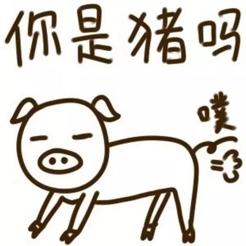 “帮派”不是愚蠢的_500字