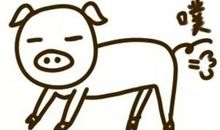 “楞子”不笨_500字