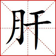 “自卫”的背面_800字