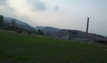 冬雨之歌_1000字