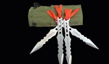 宁可自由的飞，也不愿勇敢地走！_500字