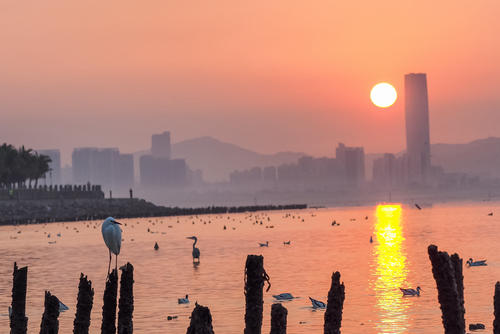 美丽的深圳_400字