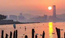 美丽的深圳_400字