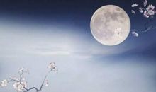 夜空里的中秋月_750字