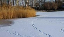 冬天的景色_250字