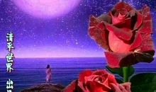 中秋的浓浓思念_800字