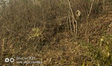 无言的等待_450字