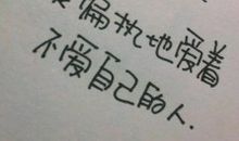 蚊子的表白_150字