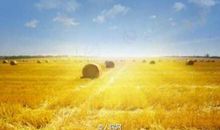 人的一生是什么_200字