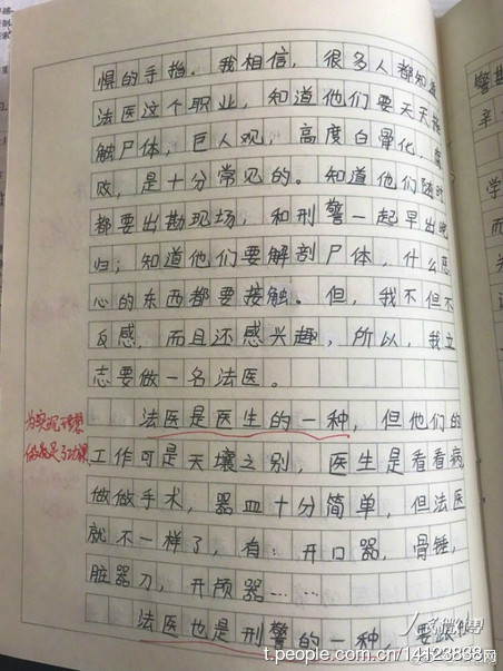 在雪地上的构图：玩雪票_800字
