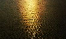 我爱四季的美_350字