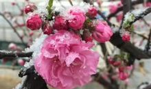 寒假征文：有天使的除夕，真美_750字