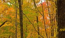 [PK赛]关于老师的作文：常怀恩师情_900字