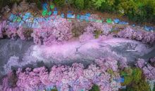 农历十月一，细雨纷飞_1200字