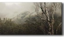 北方有佳人_1500字