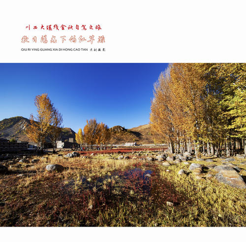 秋太阳_550字