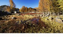 秋日的阳光_550字