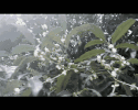 怜悯in love _300字