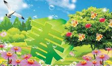 忘记不了你的关爱_550字