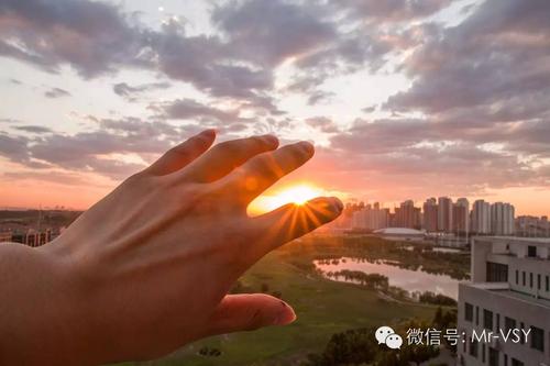 黑夜，让我看看你的背_2000字
