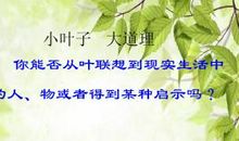 叶子的联想_300字