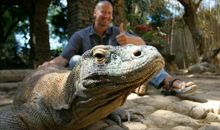 世界上最毒的动物