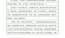 金威广场的夜晚_400字