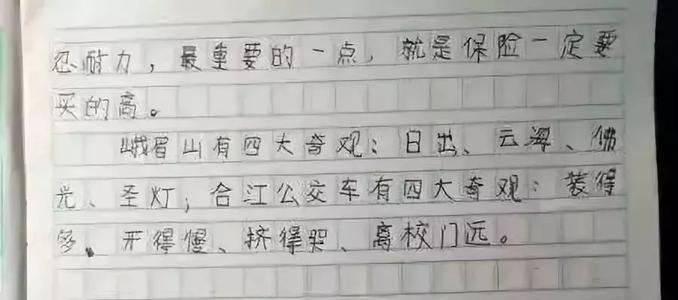 关于良好的成分：她，这个女孩_1200字