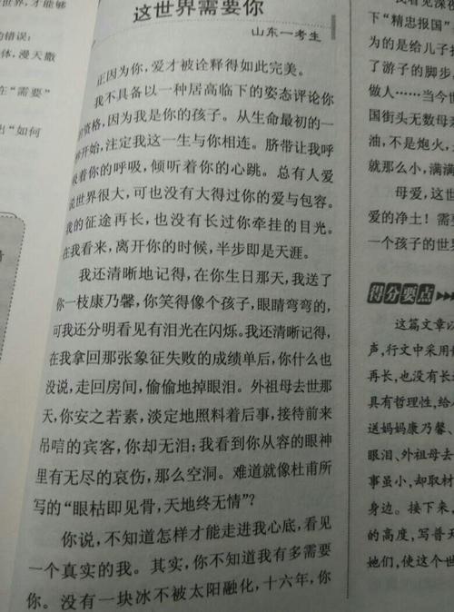关于好录制：善良的仙女_650字