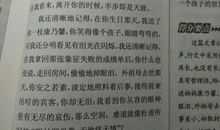 关于善良的作文：善良的仙女_650字