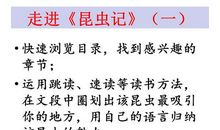 读《昆虫记》有感_550字