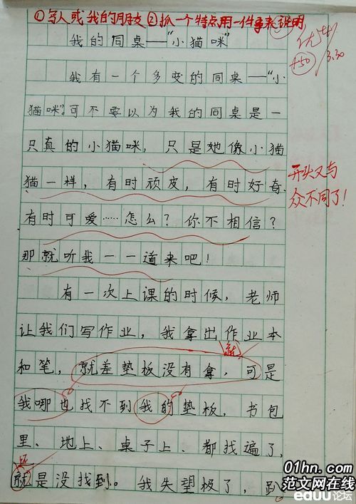 对手_250字