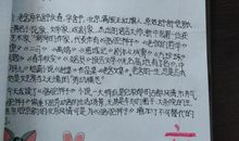 [PK赛]关于挫折的作文：只要吸取教训，就会战胜挫折_800字